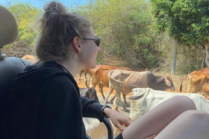 Special Leopards Safari Yala National Park - 04:30 AM to 11:30 AM - The Itinerary: What to Expect