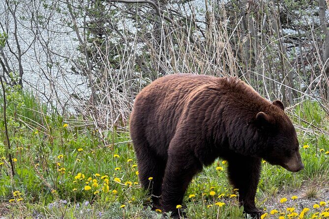 Special Magic Hour Photography Tour - The Experience in Detail