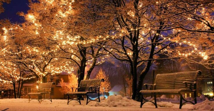 Special Magical Christmas Tour in Budapest - Tour Activity Details