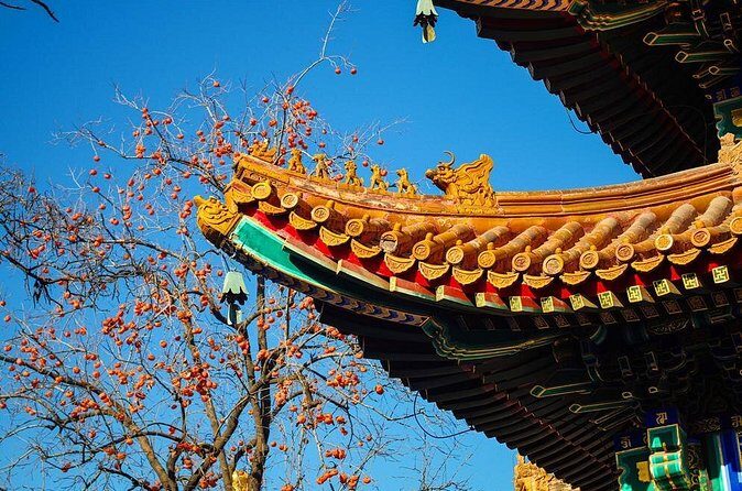 Special Offer: Lama Temple with Best Tour Guide - Detailed Breakdown of the Tour Experience