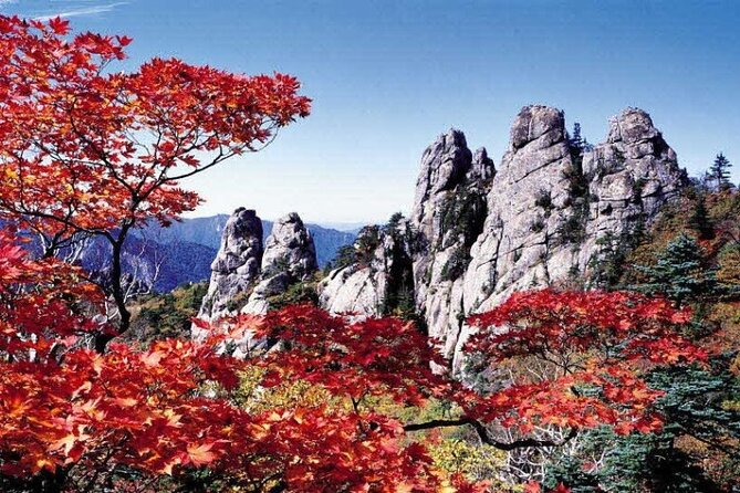 Special Private Tour Mt. Seorak, Gwongeum Fortress, Naksan Beach - Tour Itinerary