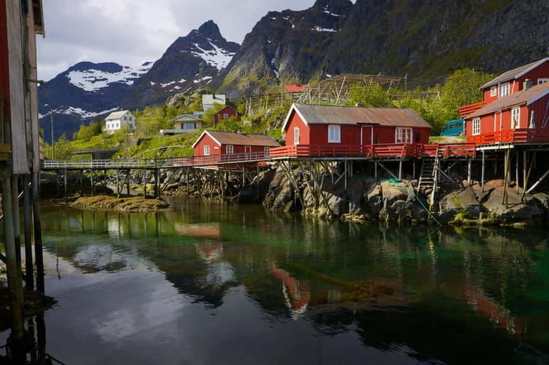 Special Summer Cruise Guided Tour of Lofoten - Good To Know