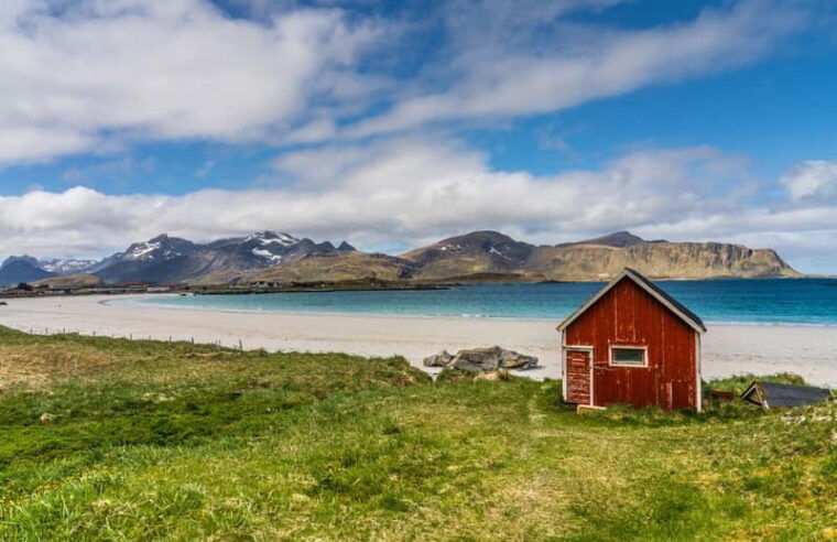 Special Summer Cruise Guided Tour of Lofoten - Authentic Insights from Reviews