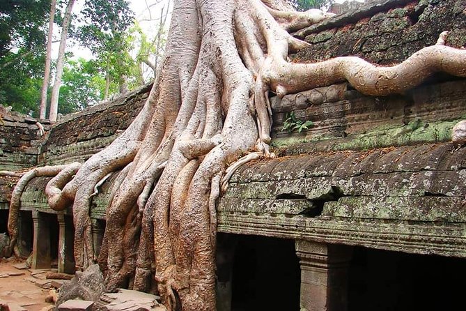 Special Three Days Angkor Tour - Tour Itinerary