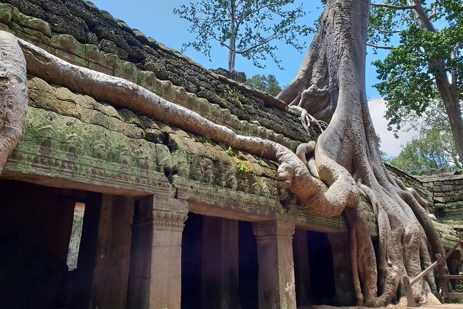 Special Three Days Angkor Tour - Reviews