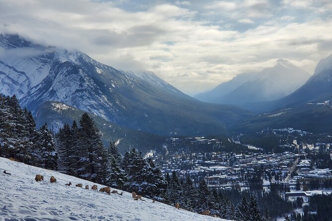 Spectacular Banff Day Trip - Traveler Photos