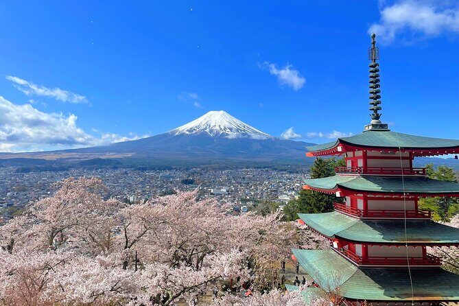Spectacular Mt. Fuji and Lake Cruise, Noodles Making Experience - Good To Know