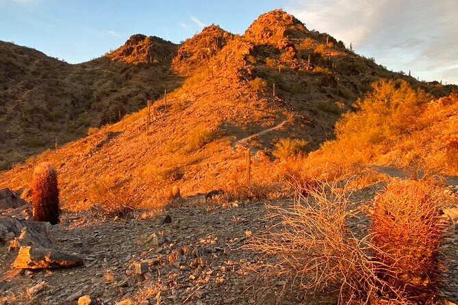 Spectacular Sunrise Guided Hike in Phoenix, Arizona - A Close Look at the Phoenix Sunrise Hike