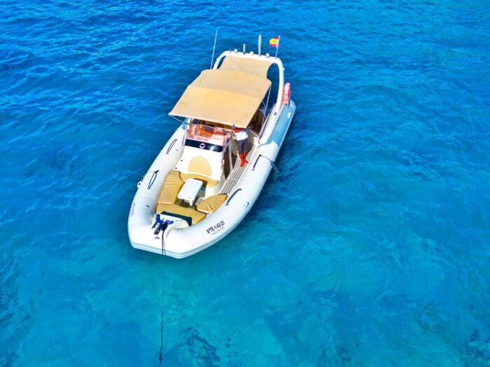 Spectacular Sunset Cruise in Tenerife: A Magical Experience - Common Questions