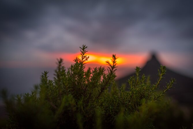 Spectacular Table Mountain Hike - India Venster - Hike Overview