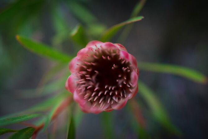 Spectacular Table Mountain Hike - India Venster - Trail Difficulty