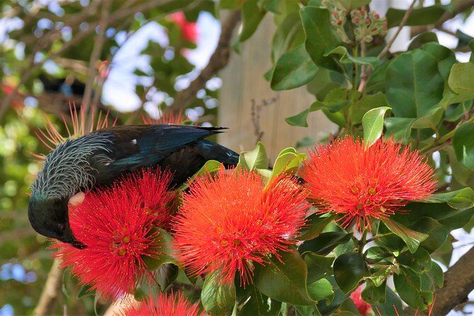 Spectacular Wellington: Full Day Private Sightseeing Tour - The Sum Up