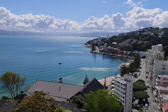 Spectacular Wellington: Half Day Private Sightseeing Tour - Pricing and Booking