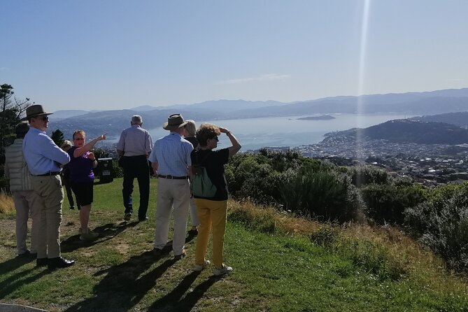 Spectacular Wellington: Half Day Private Sightseeing Tour - Tour Highlights