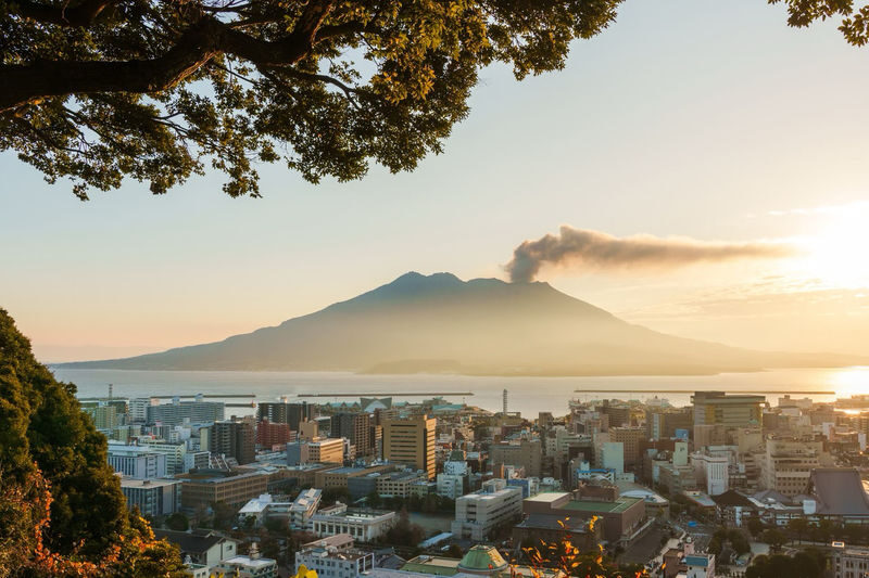 Spectrum of the Seas, Caribbean: Cruise shore excursion day trip/Kagoshima Port/Sakurajima/Aquarium/Sengan-en/Tenmonkan Street/Seamless port transfer for shore excursions/Chinese-speaking tour guide - Key points to know before you book