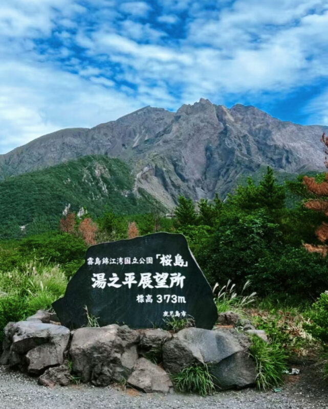 Spectrum of the Seas, Caribbean: Cruise shore excursion day trip/Kagoshima Port/Sakurajima/Aquarium/Sengan-en/Tenmonkan Street/Seamless port transfer for shore excursions/Chinese-speaking tour guide - A cruise-day route built around the port