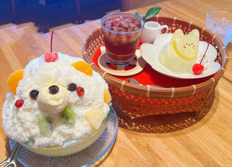 Spectrum of the Seas, Caribbean: Cruise shore excursion day trip/Kagoshima Port/Sakurajima/Aquarium/Sengan-en/Tenmonkan Street/Seamless port transfer for shore excursions/Chinese-speaking tour guide - Guides, group size and what the fare covers