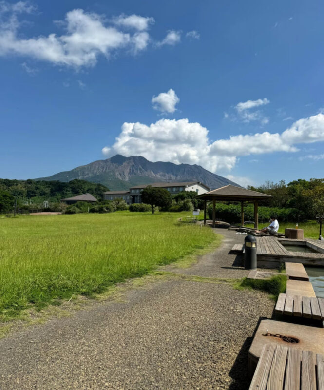 Spectrum of the Seas, Caribbean: Cruise shore excursion day trip/Kagoshima Port/Sakurajima/Aquarium/Sengan-en/Tenmonkan Street/Seamless port transfer for shore excursions/Chinese-speaking tour guide - Who will get the most from this day
