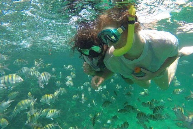 Speed Boat and Snorkeling in Punta Cana Bavaro - Practical Tips for Making the Most of Your Trip