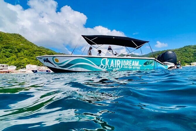 Speed Boat Dolphins and Turtles Full Day - Good To Know