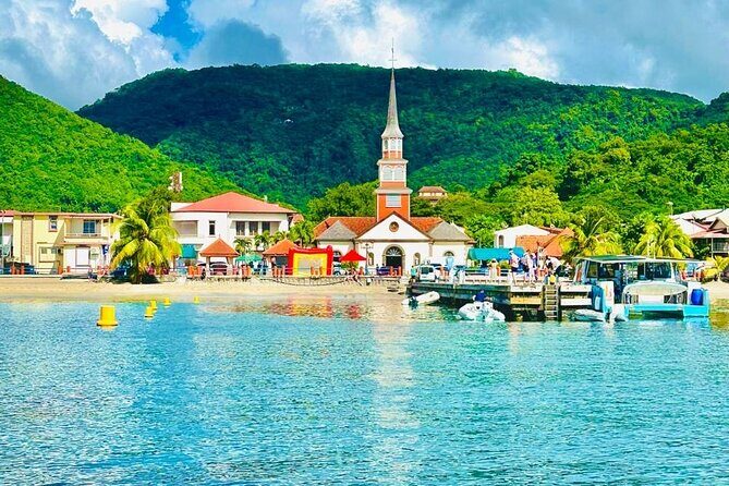 Speed Boat Dolphins and Turtles Full Day - In-Depth Look at the Tour Experience