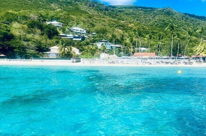 Speed Boat Dolphins and Turtles Full Day - Summary