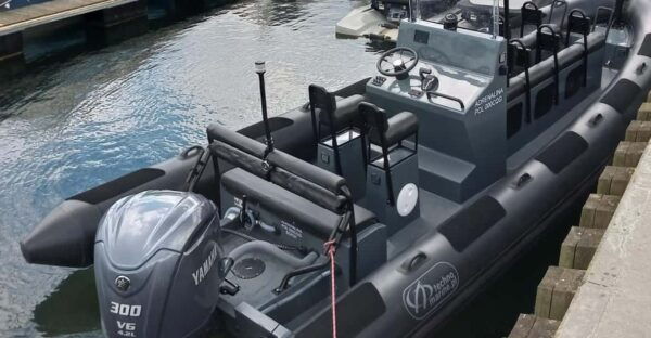 Speed Boat Half Hour Trip in Sopot. Speed up to 100 Km/H - Highlights and Attractions