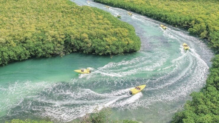 Speed Boat & Snorkel, Jungle Adventure in Cancun - Good To Know