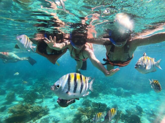 Speed Boat & Snorkel, Jungle Adventure in Cancun - Snorkeling in the Caribbean Sea