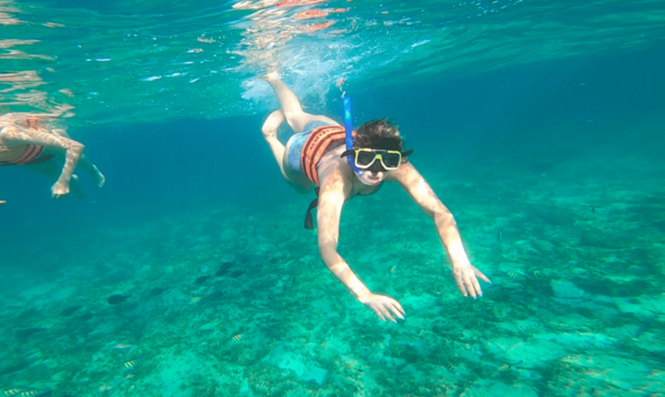 Speed Boat & Snorkel, Jungle Adventure in Cancun - Memorable 2-Hour Journey