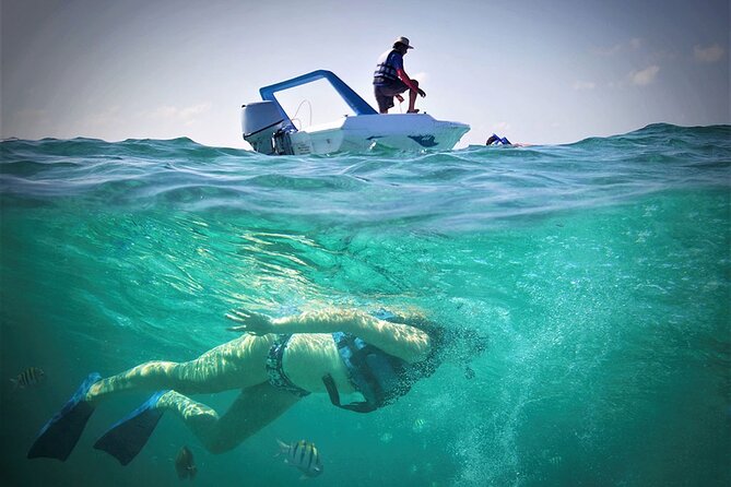 Speed Boat & Snorkel Tour With Transportation ( Only Cancun Zone Area) - Directions to Sealife Marina in Cancun