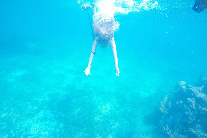 Speed Boat & Snorkel Tour With Transportation ( Only Cancun Zone Area) - The Sum Up and Final Thoughts