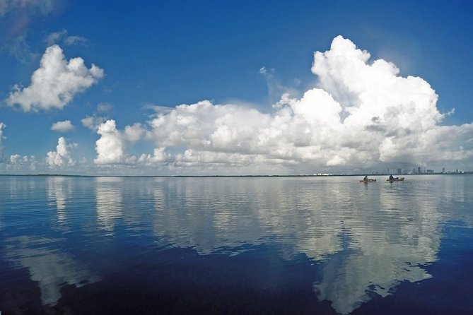 Speed Boat & Snorkel Tour With Transportation ( Only Cancun Zone Area) - Common Questions