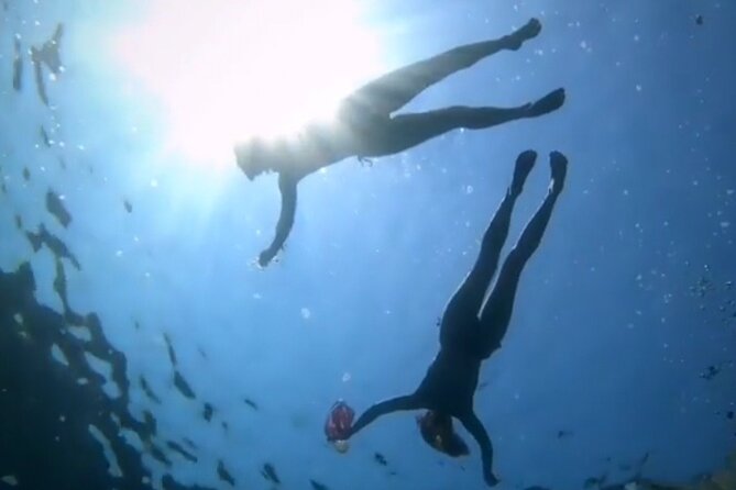 Speed Boat Tour to Elaphiti Caves and Sandy Beach From Dubrovnik - Pricing