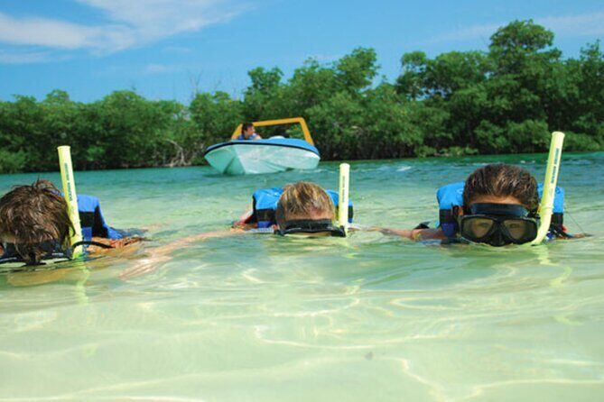 Speed Boats through the Cancun Lagoon (Jungle Tour Couples) - Who Is This Tour Best For?