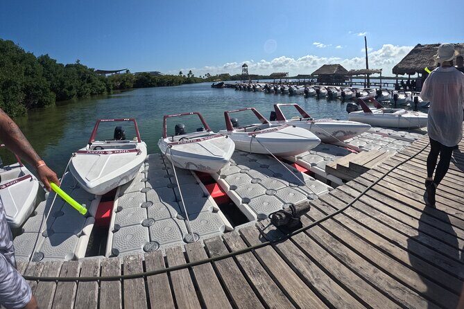 Speed of the Mayan Jungle - The Sum Up