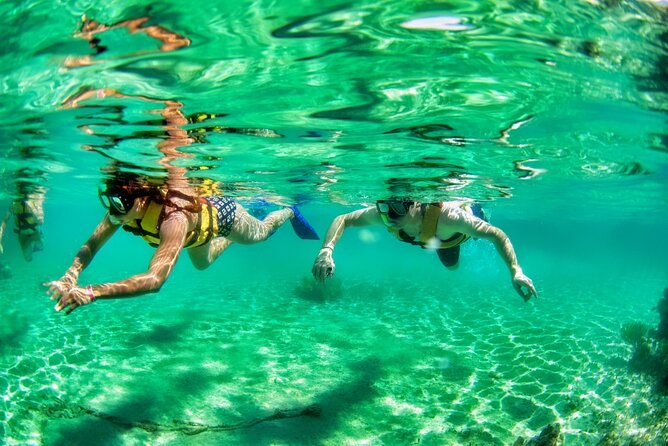 Speedboat Across the Mangroves & Snorkel With Jet Ski Rental - Common Questions