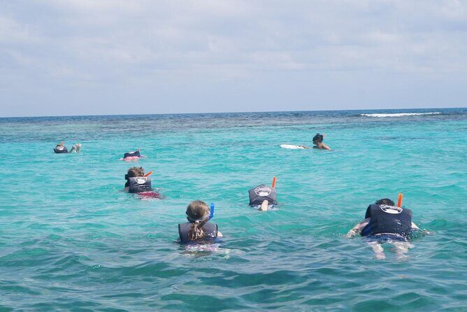 Speedboat Adventure and Snorkeling with transportation in Cancun - An In-Depth Look at the Experience