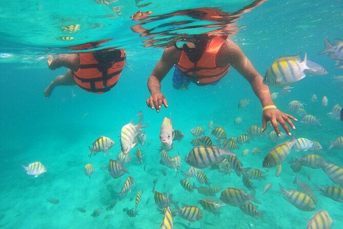 Speedboat Adventure to Snorkeling Spot and Natural Pool - Logistical Insights from Reviews