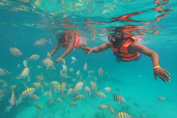 Speedboat Adventure to Snorkeling Spot and Natural Pool - Who Will Love This Tour