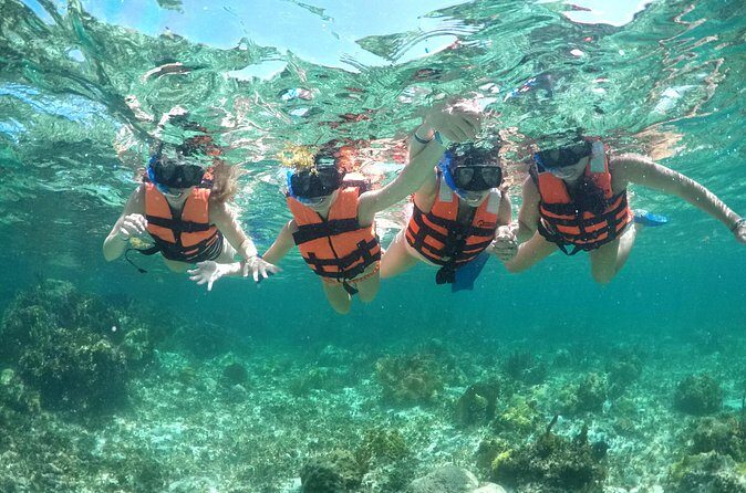 Speedboat and snorkel adventure - FAQ