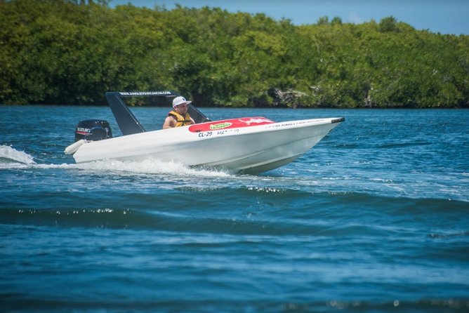 Speedboat and Snorkel Tour: Single Passenger Boat - Traveler Photos