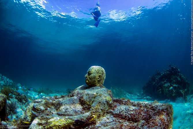Speedboat and Snorkel Tour: Single Passenger Boat - Additional Information