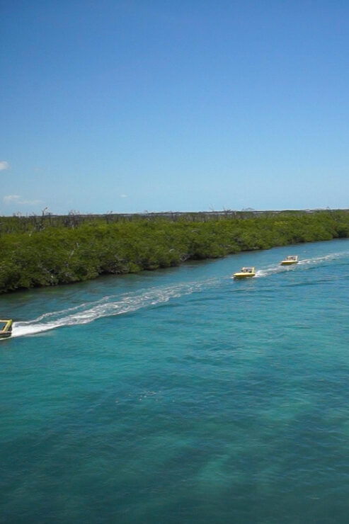 Speedboat at the Nichupte Lagoon - Good To Know