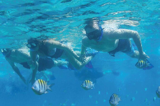 Speedboat Excursion: Thrilling Drive & Snorkel in Cancun Lagoon! - Authentic Insights from Past Travelers