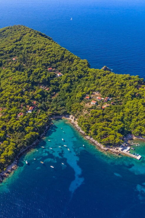 Speedboat Half Day Private Tour - Experience Highlights