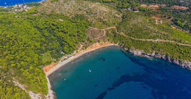 Speedboat Half Day Private Tour - Included Services