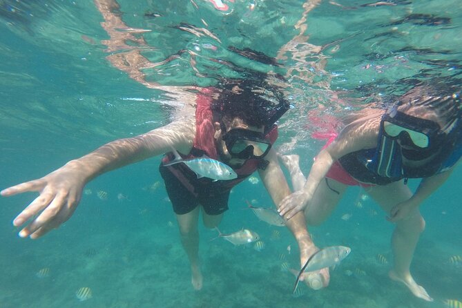 Speedboat Sailing With Snorkeling Experience in Punta Cana - Common Questions