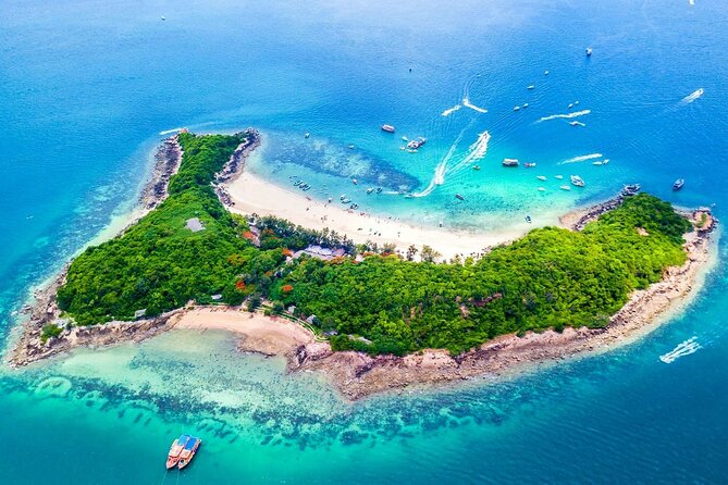 Speedboat Tour From Pattaya to Koh Larn Coral & Sak Island - Reviews