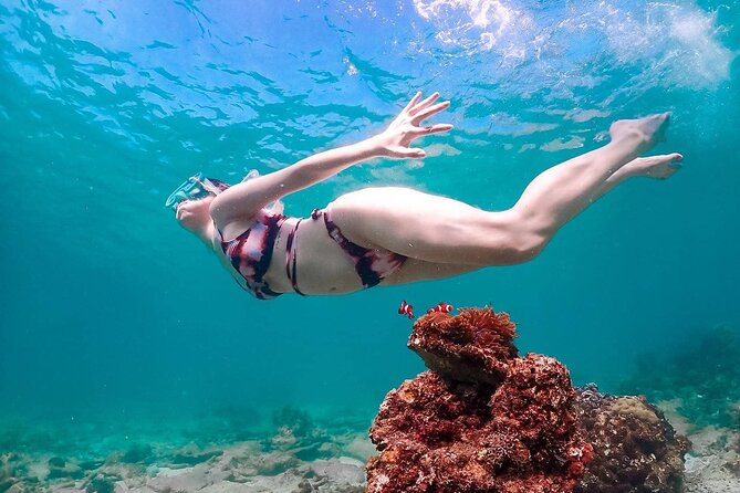 Speedboat Tour From Pattaya to Koh Larn Coral & Sak Island - Itinerary